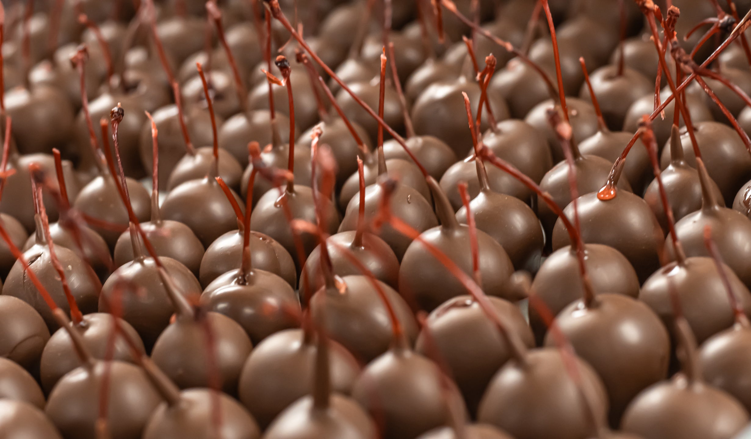 Chocolate Covered Cherries on a cooling tray at Hansel and Gretel Candy Kitchen, Helen Ga