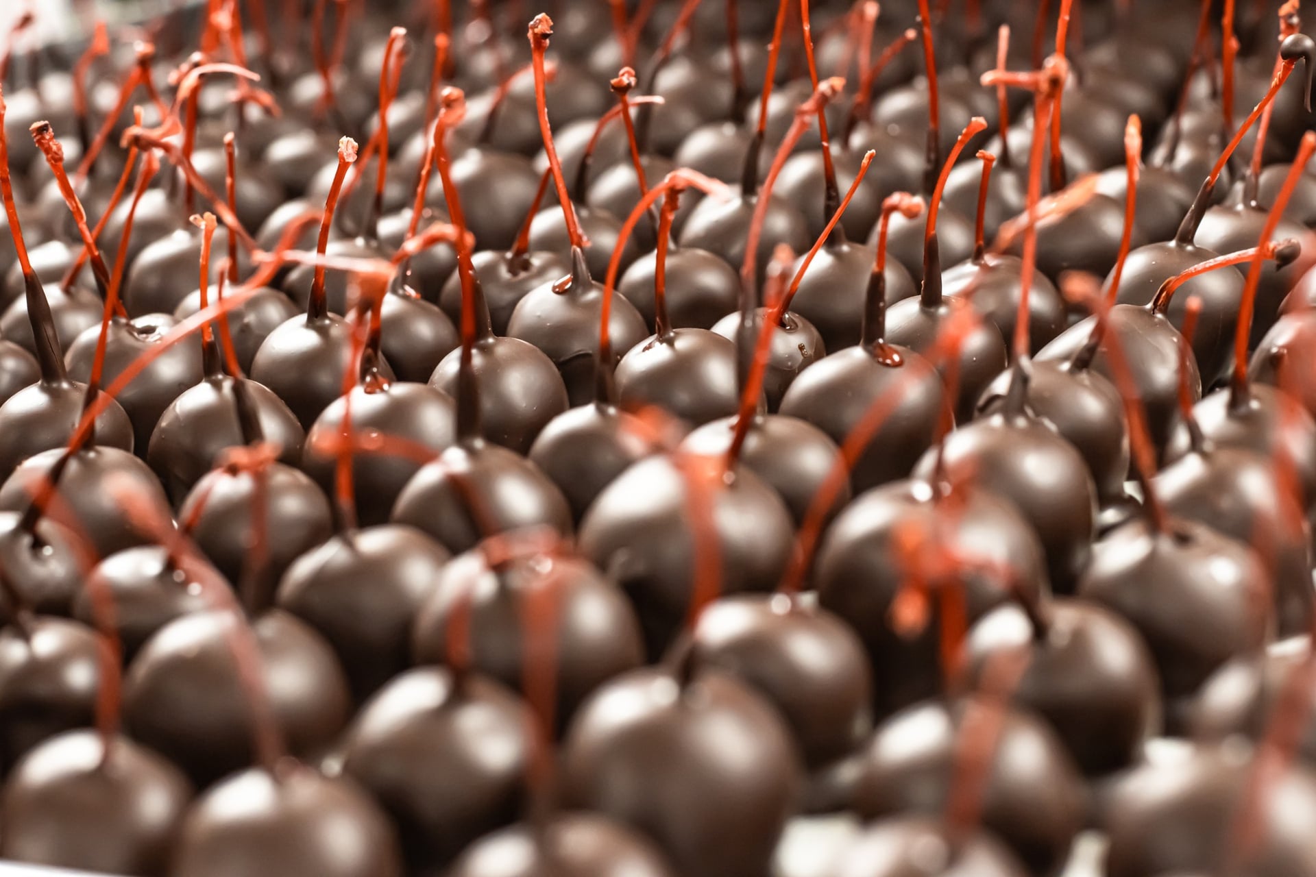 Handmade Chocolate Covered Cherries – Hansel &amp; Gretel Candy Kitchen, Helen, GA