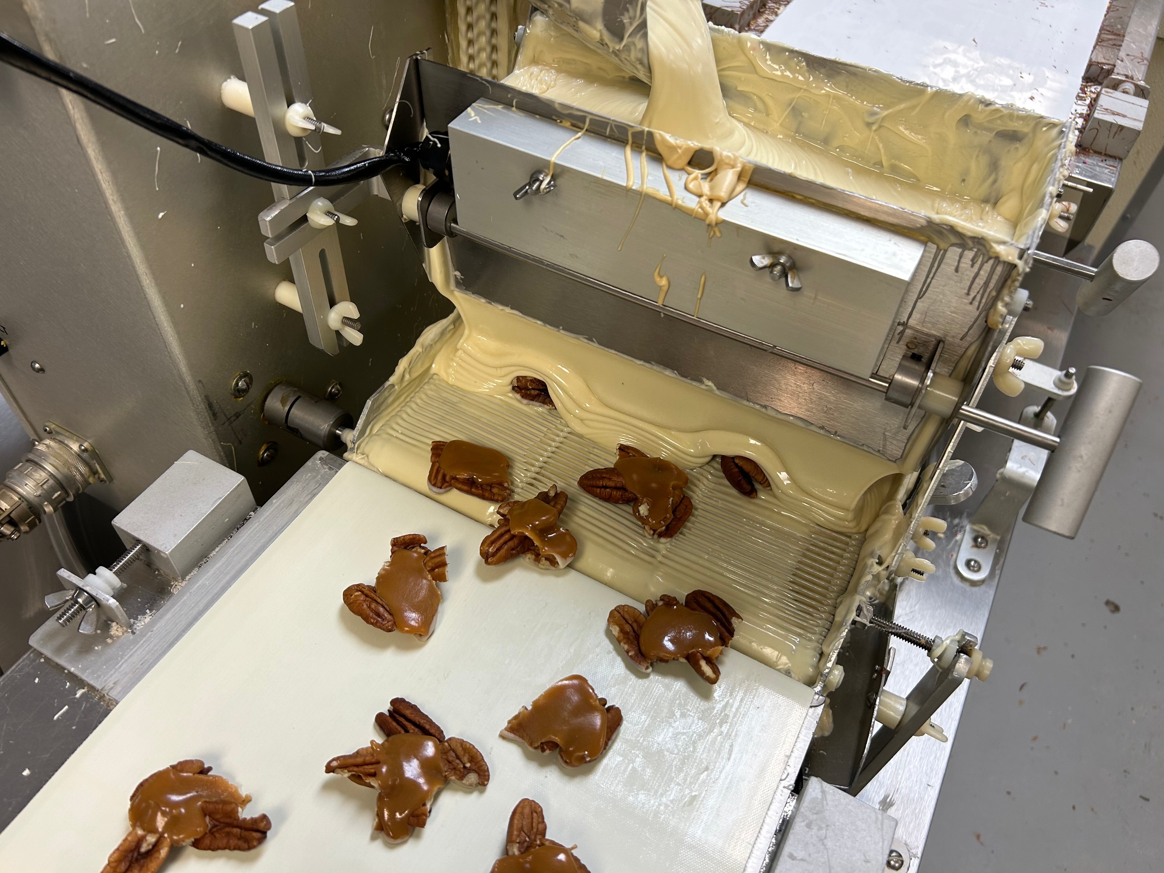 4pc Pre Packaged Assorted Snappers & Friends